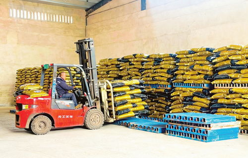 屯留一站式农事服务 仓储服务破解种地难题，助力农业现代化