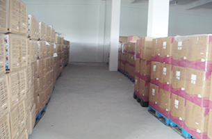 高效仓储服务 现代仓库运营的核心优势与实践